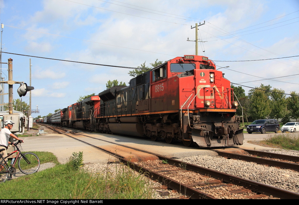 CN 8815